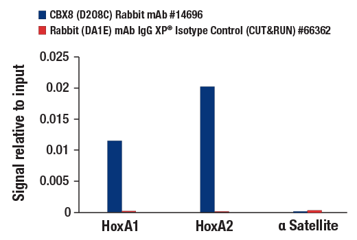 CUT & RUN Image 3: CBX8 (D2O8C) Rabbit Monoclonal Antibody