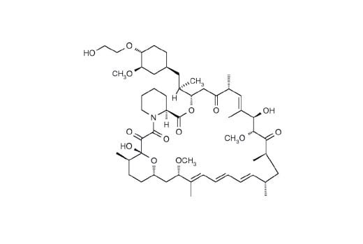 undefined Image 3: Everolimus