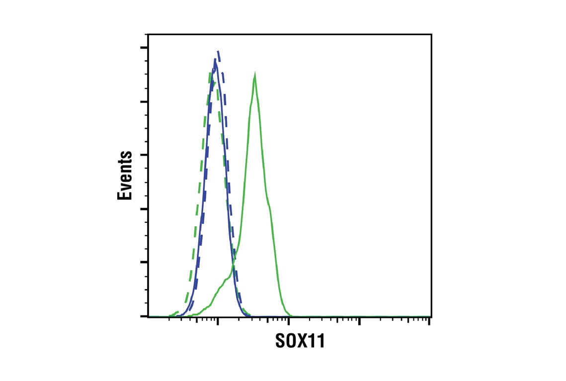 Flow Cytometry Image 1: SOX11 (E7G9N) Rabbit Monoclonal Antibody