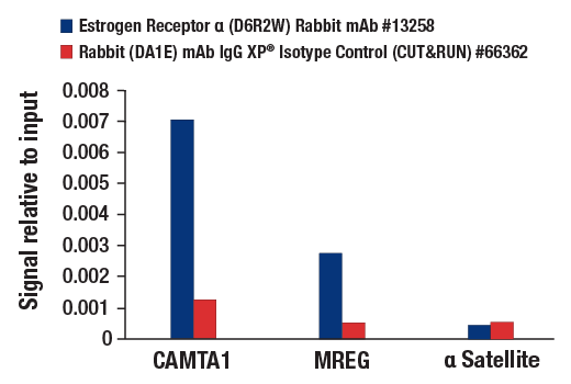 CUT & RUN Image 3: Estrogen Receptor alpha (D6R2W) Rabbit Monoclonal Antibody