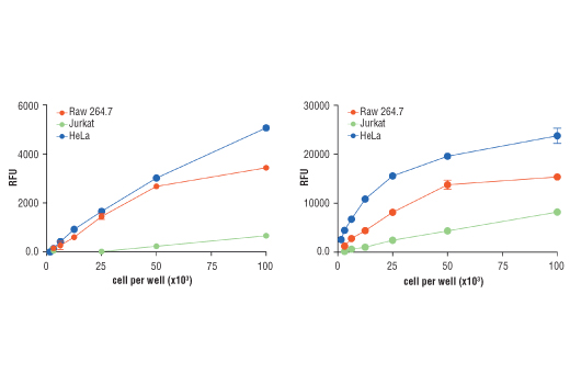 undefined Image 2: Cellular Glutathione Detection Assay Kit