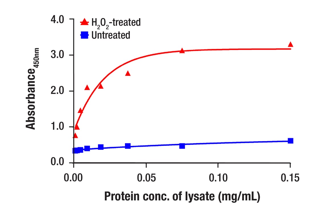 ELISA Image 3: PathScan<sup>®</sup> Phospho-SLP-76 (Ser376) Sandwich ELISA Kit