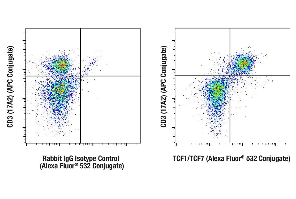 Flow Cytometry Image 1: TCF1/TCF7 (C63D9) Rabbit mAb (Alexa Fluor<sup>®</sup> 532 Conjugate)