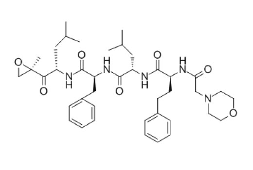 undefined Image 3: Carfilzomib