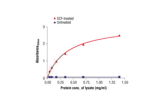 ELISA Image 2: PathScan<sup>®</sup> Phospho-c-Kit (Tyr719) Sandwich ELISA Kit