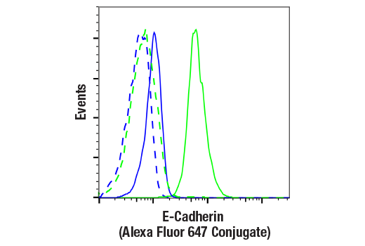Flow Cytometry Image 1: E-Cadherin (24E10) Rabbit Monoclonal Antibody (Alexa Fluor<sup>®</sup> 647 Conjugate)