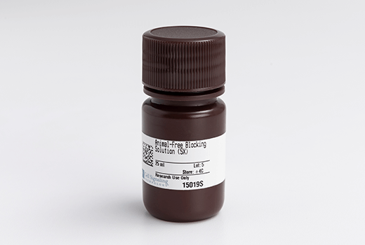 undefined Image 1: Animal-Free Blocking Solution (5X)