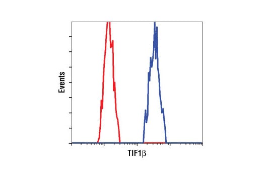 Flow Cytometry Image 1: KAP-1 (C42G12) Rabbit Monoclonal Antibody (BSA and Azide Free)