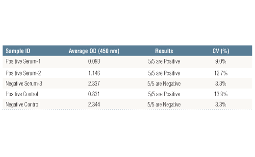 ELISA Image 3: SARS-CoV-2 Spike RBD-ACE2 Blocking Antibody Detection ELISA Kit