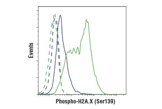 Flow Cytometry Image 1: Phospho-Histone H2A.X (Ser139) (D7T2V) Mouse Monoclonal Antibody