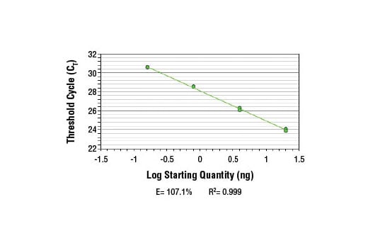 Chromatin Immunoprecipitation Image 2: SimpleChIP<sup>®</sup> Mouse MEST Promoter Primers