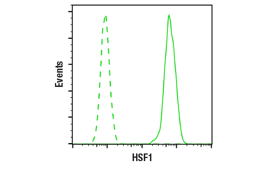 Flow Cytometry Image 1: HSF1 (D3L8I) Rabbit Monoclonal Antibody
