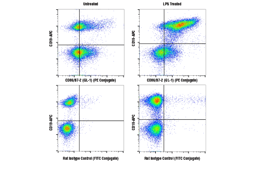 Flow Cytometry Image 1: CD86/B7-2 (GL-1) Rat mAb (PE Conjugate)