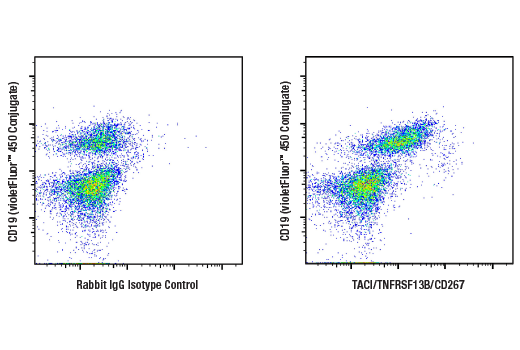Flow Cytometry Image 1: TACI/TNFRSF13B/CD267 (E3P6X) Rabbit Monoclonal Antibody