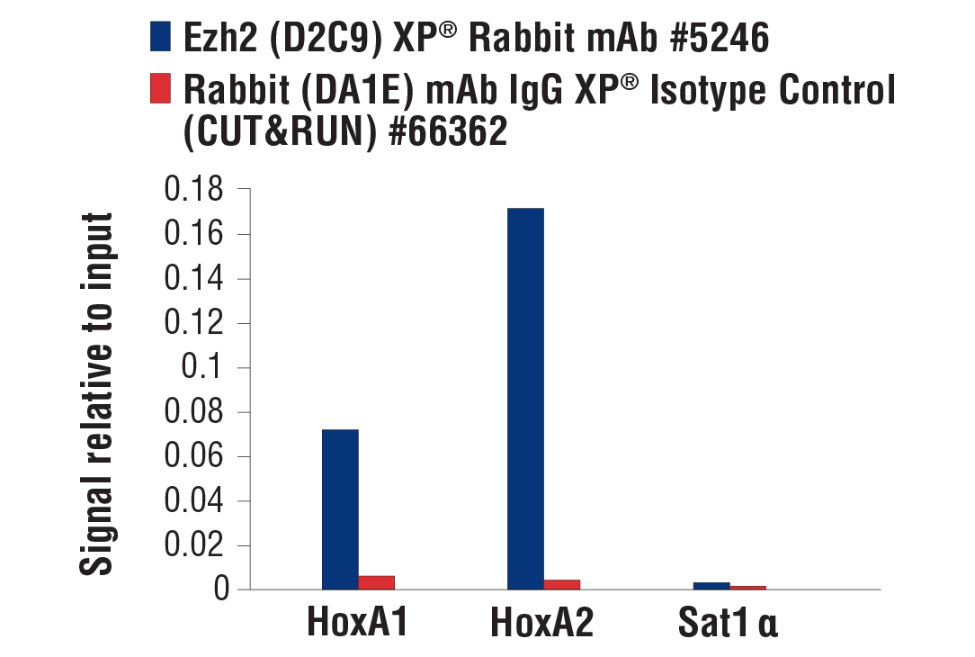 CUT & RUN Image 3: Ezh2 (D2C9) Rabbit Monoclonal Antibody