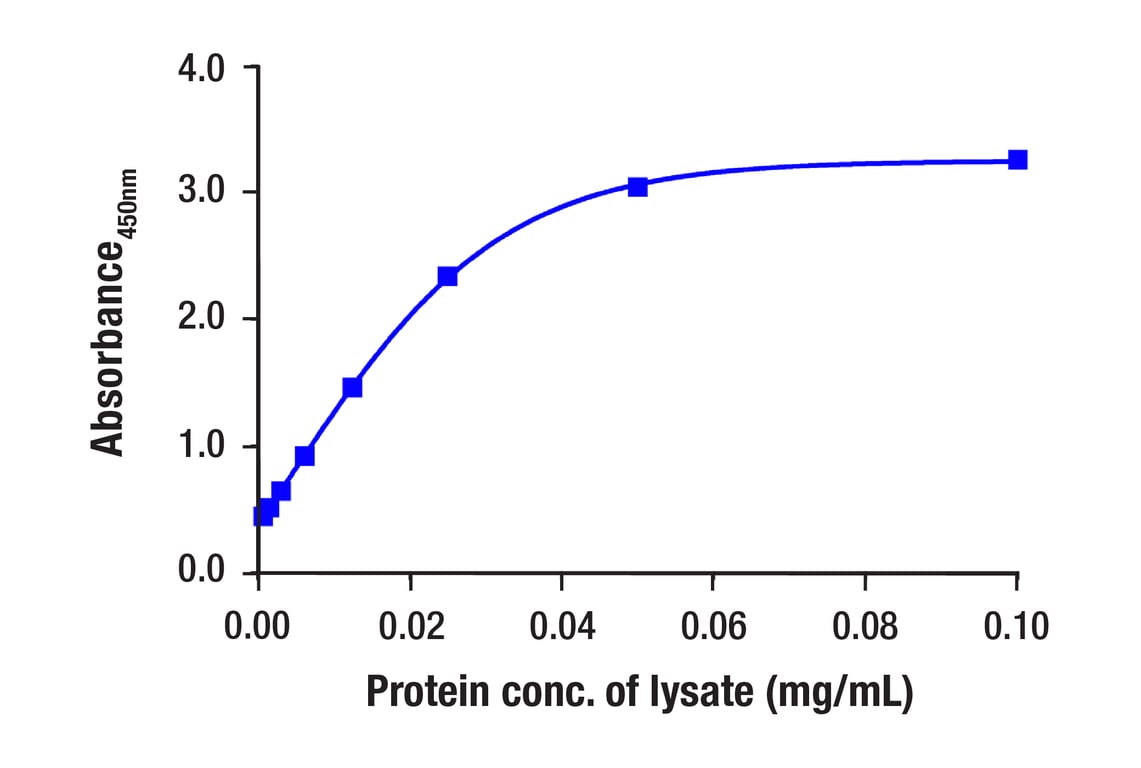 ELISA Image 3: PathScan<sup>®</sup> Total Androgen Receptor Sandwich ELISA Kit