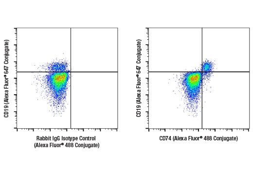 Flow Cytometry Image 1: CD74 (D5N3I) Rabbit Monoclonal Antibody (Alexa Fluor<sup>®</sup> 488 Conjugate)