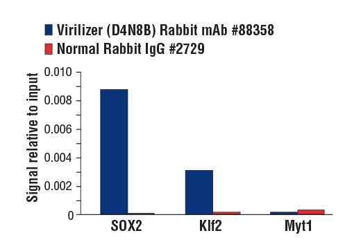 undefined Image 6: N6-mA Methyltransferase Antibody Sampler Kit