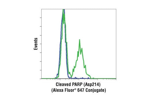 Flow Cytometry Image 1: Cleaved PARP (Asp214) (D64E10) Rabbit Monoclonal Antibody (Alexa Fluor<sup>®</sup> 647 Conjugate)