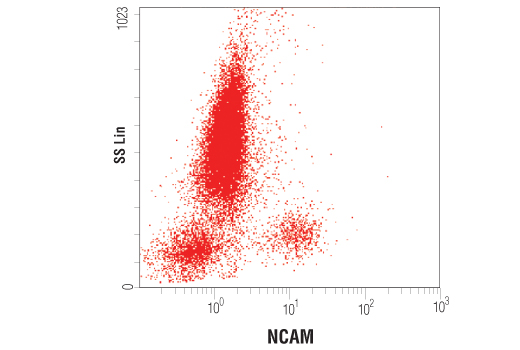 Flow Cytometry Image 1: NCAM1 (CD56) (123C3) Mouse Monoclonal Antibody (BSA and Azide Free)