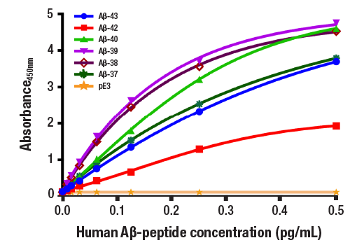 ELISA Image 2: PathScan<sup>®</sup> RP β-Amyloid Sandwich ELISA Kit