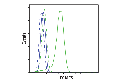Flow Cytometry Image 2: EOMES (D8D1R) Rabbit Monoclonal Antibody (BSA and Azide Free)