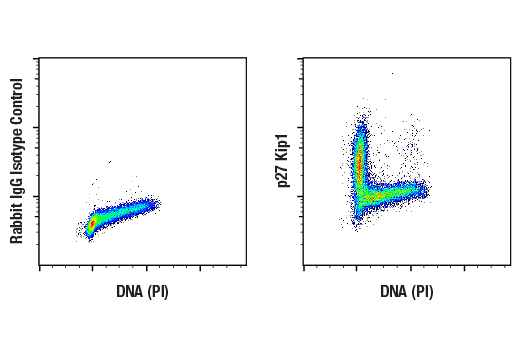 Flow Cytometry Image 1: p27 Kip1 (D69C12) Rabbit Monoclonal Antibody