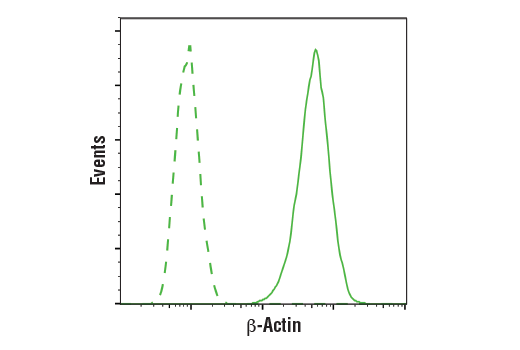 Flow Cytometry Image 1: beta-Actin (E4D9Z) Mouse Monoclonal Antibody