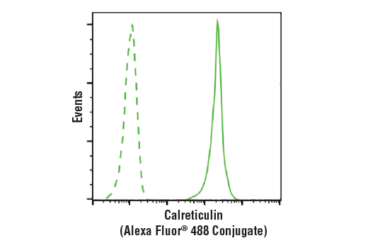 Flow Cytometry Image 1: Calreticulin (D3E6) XP<sup>®</sup> Rabbit mAb (Alexa Fluor<sup>®</sup> 488 Conjugate)