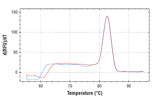 Chromatin Immunoprecipitation Image 1: SimpleChIP<sup>®</sup> Mouse Pdk4 Promoter Primers