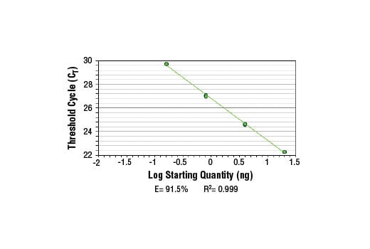 Chromatin Immunoprecipitation Image 2: SimpleChIP<sup>®</sup> Mouse MYT-1 Promoter Primers