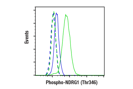 Flow Cytometry Image 1: Phospho-NDRG1 (Thr346) (D98G11) Rabbit Monoclonal Antibody (BSA and Azide Free)