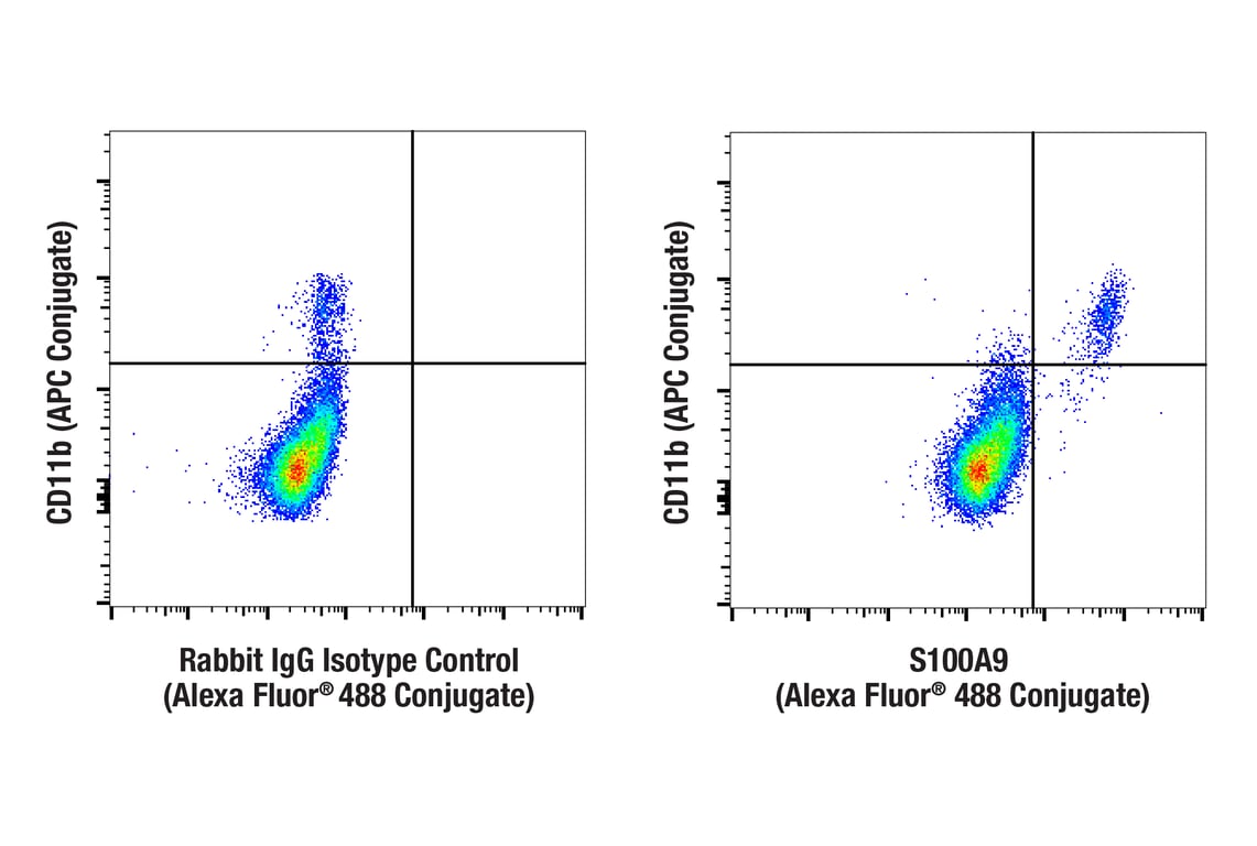 Flow Cytometry Image 1: S100A9 (D3U8M) Rabbit Monoclonal Antibody (Alexa Fluor<sup>®</sup> 488 Conjugate)