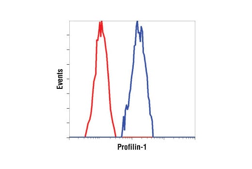 Flow Cytometry Image 1: Profilin-1 Antibody