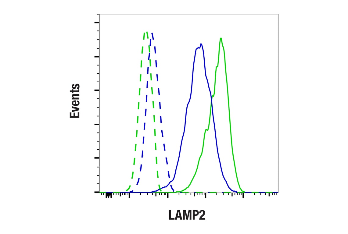 Flow Cytometry Image 1: LAMP2 (E6A6S) Rabbit Monoclonal Antibody
