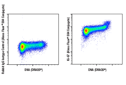Flow Cytometry Image 1: Ki-67 (D3B5) Rabbit Monoclonal Antibody (Alexa Fluor<sup>®</sup> 594 Conjugate)