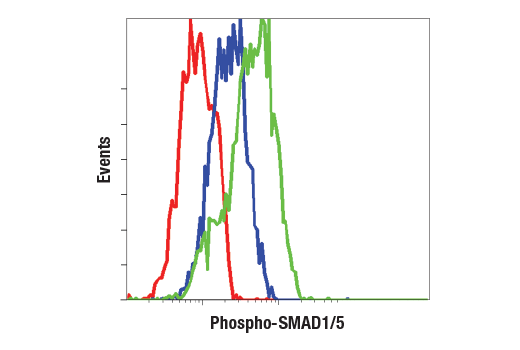 Flow Cytometry Image 1: Phospho-SMAD1/5 (Ser463/465) (41D10) Rabbit Monoclonal Antibody (BSA and Azide Free)