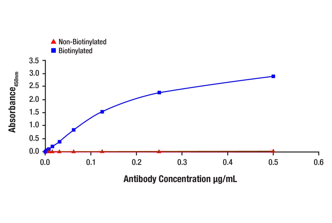 E Image 1: Phospho-YAP (Ser127) (D9W2I) Rabbit Monoclonal Antibody (Biotinylated)