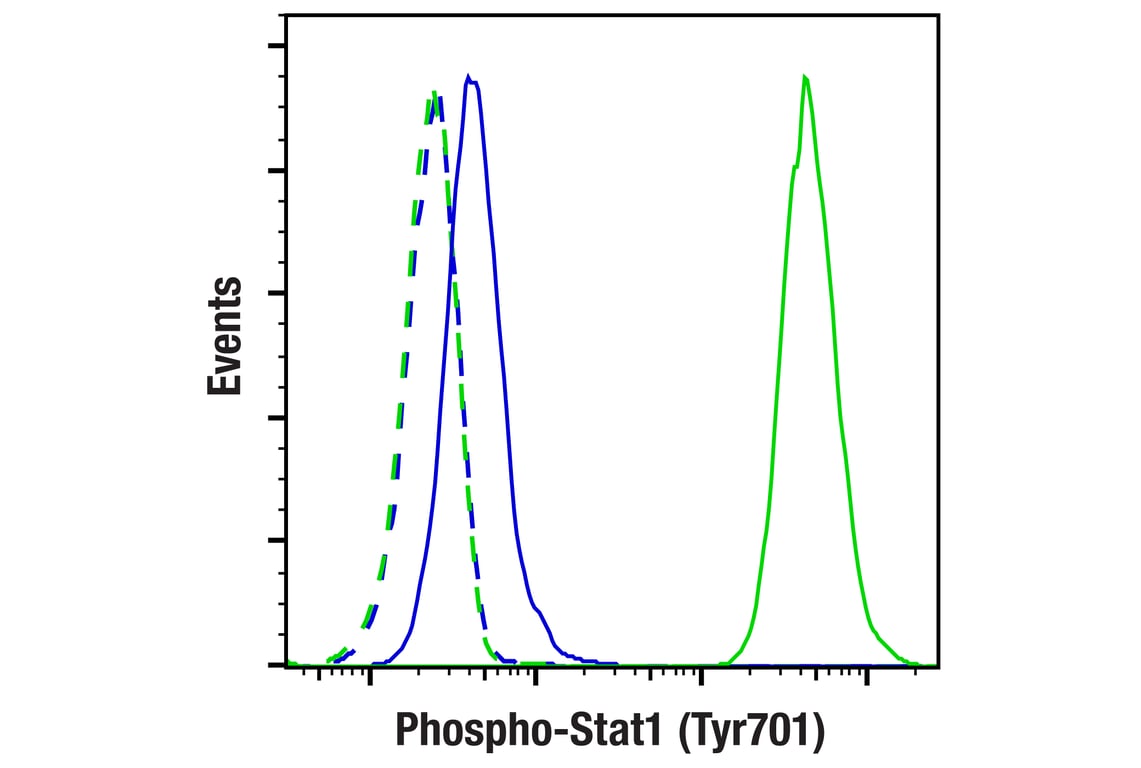 undefined Image 5: Human Reactive M1 vs M2 Macrophage IHC Antibody Sampler Kit