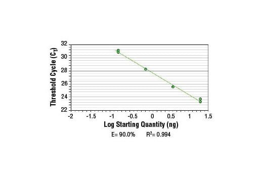 Chromatin Immunoprecipitation Image 2: SimpleChIP<sup>®</sup> Mouse HoxD10 Exon 1 Primers