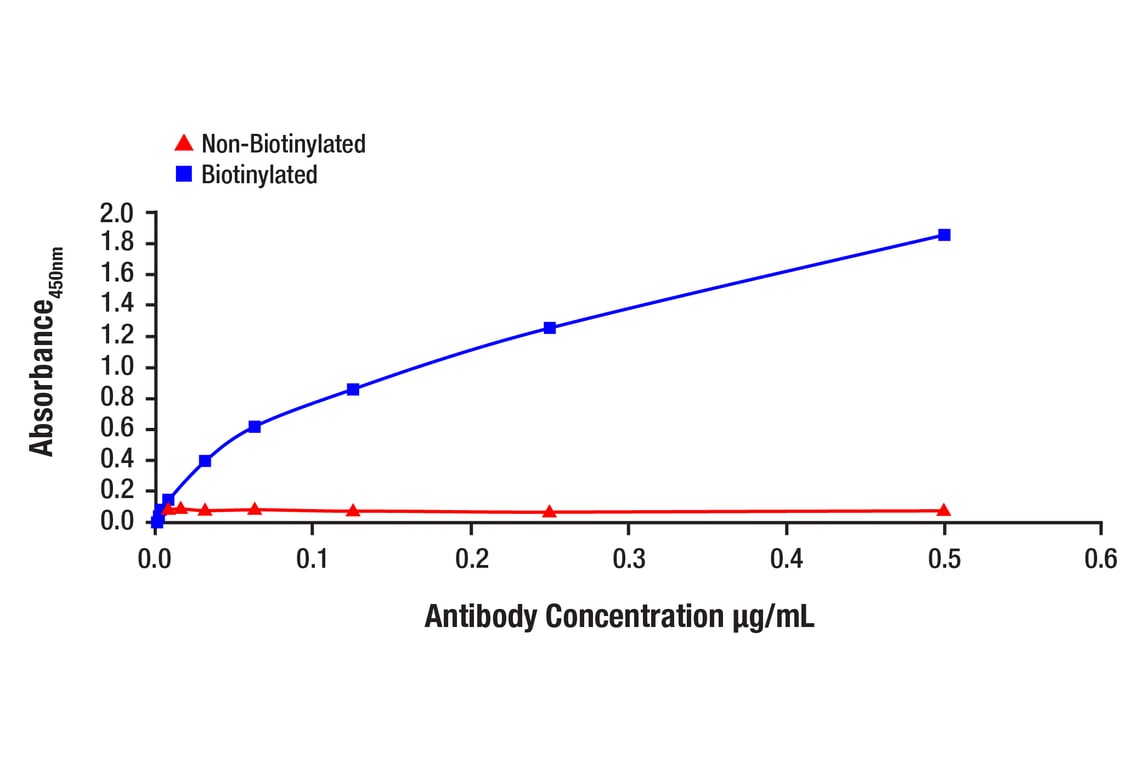 ELISA and/or ELISA-like Assays Image 1: Puma (E2P7G) Rabbit Monoclonal Antibody (Biotinylated)