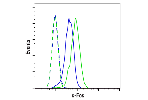 Flow Cytometry Image 1: c-Fos (9F6) Rabbit Monoclonal Antibody