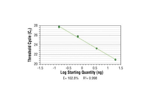 Chromatin Immunoprecipitation Image 2: SimpleChIP<sup>®</sup> Human AFM Intron 1 Primers