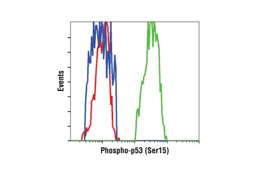 Flow Cytometry Image 1: Phospho-p53 (Ser15) (16G8) Mouse Monoclonal Antibody (BSA and Azide Free)