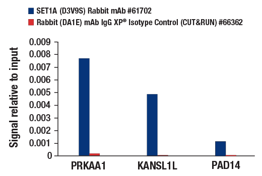 undefined Image 38: SET1/COMPASS Antibody Sampler Kit