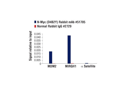 Chromatin Immunoprecipitation Image 3: N-Myc (D4B2Y) Rabbit Monoclonal Antibody