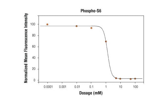 undefined Image 1: Anti-mouse IgG (H+L), F(ab')<sub>2</sub> Fragment (Alexa Fluor<sup>®</sup> 555 Conjugate)