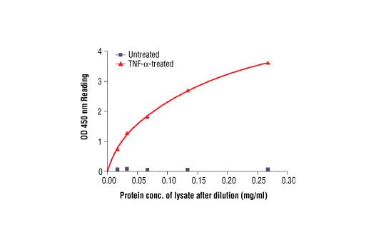 ELISA Image 2: PathScan<sup>®</sup> Phospho-NF-kappaB p65 (Ser536) Sandwich ELISA Kit