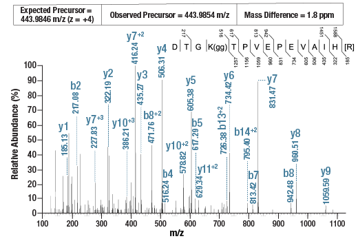 undefined Image 5: PTMScan<sup>®</sup> Control Peptides Ubiquitin/SUMO
