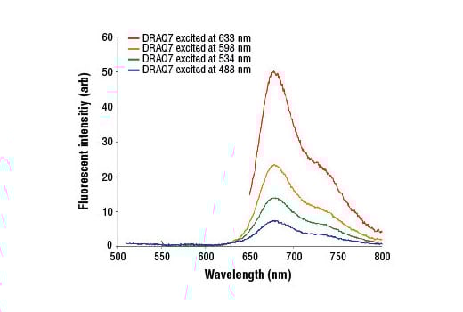 undefined Image 1: DRAQ7<sup>™</sup>